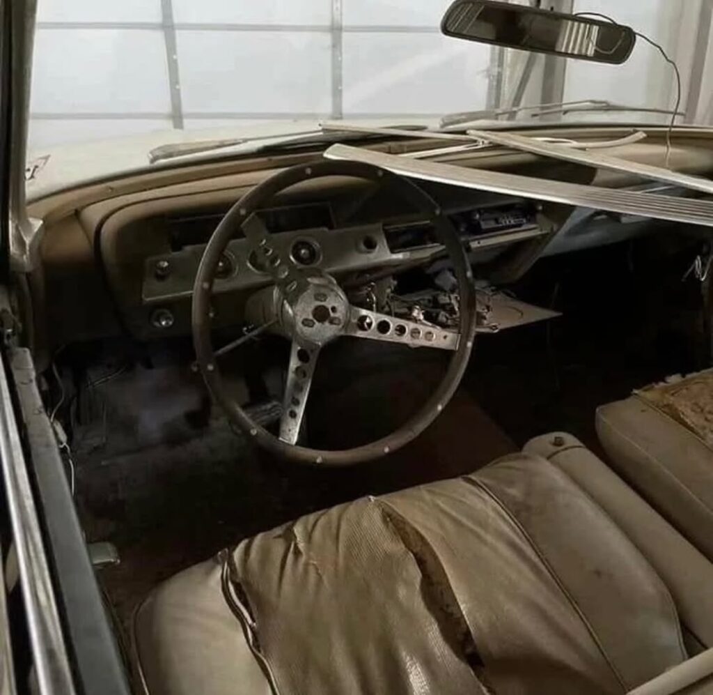 whatsapp image 2025 12 20 at 7.44.08 am (1)