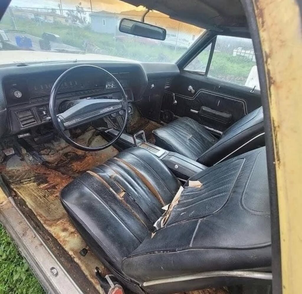 whatsapp image 2025 12 20 at 7.44.09 am (2)